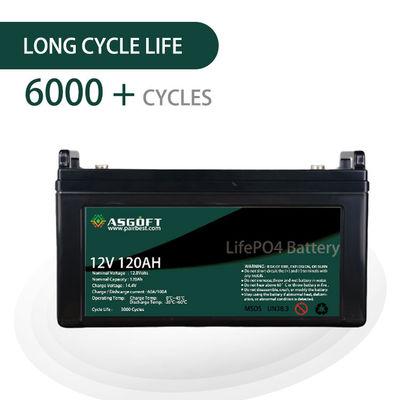 Douane Ion Lithium Lifepo 4 de Batterijpakken van 12v 120AH voor EV
