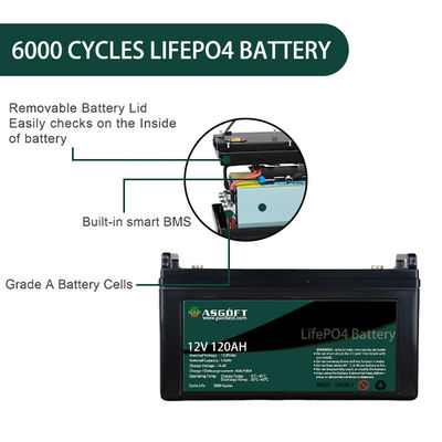 Douane Ion Lithium Lifepo 4 de Batterijpakken van 12v 120AH voor EV